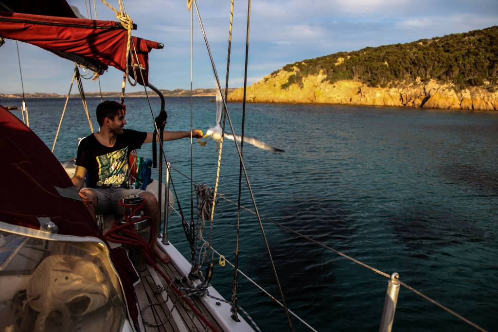 Voilier et goéland dans les Bouches de Bonifacio