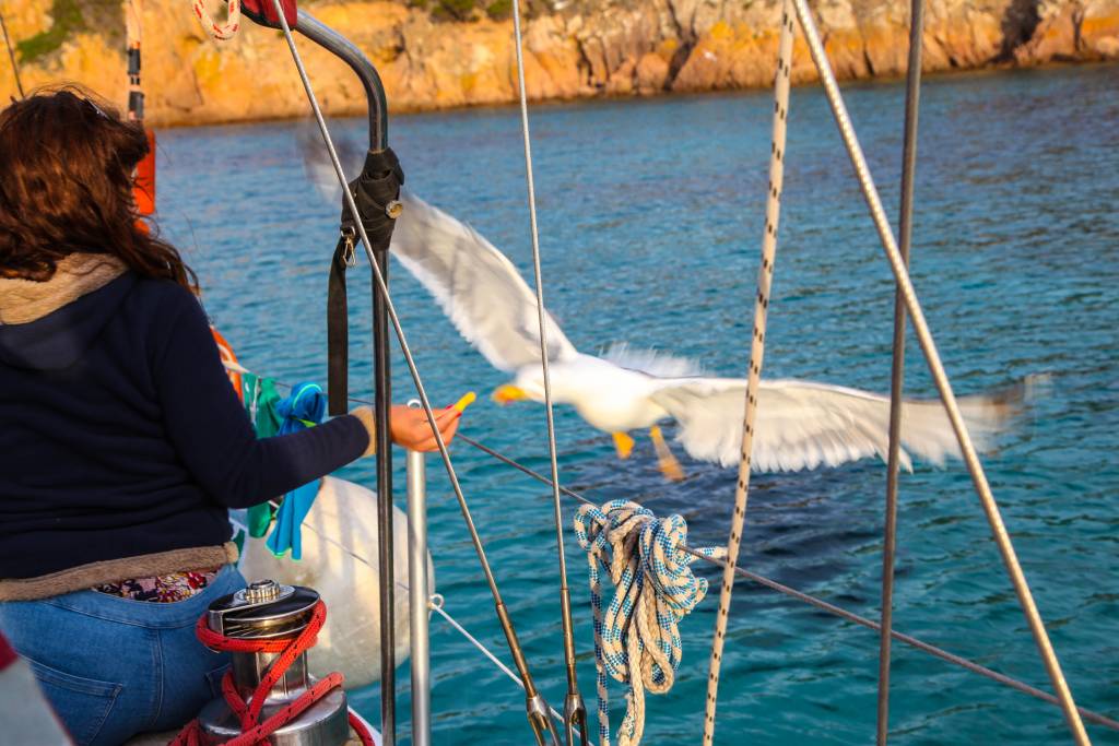 Nature sur voilier en corse