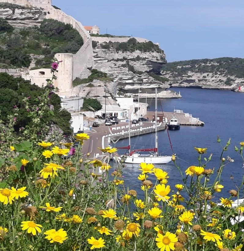 Citadelle de Bonifacio