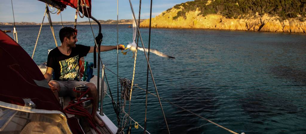 Voilier et goéland dans les Bouches de Bonifacio